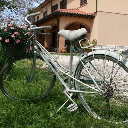 Agriturismo Diciocco เวนตูรีนา แตร์เม ภายนอก รูปภาพ