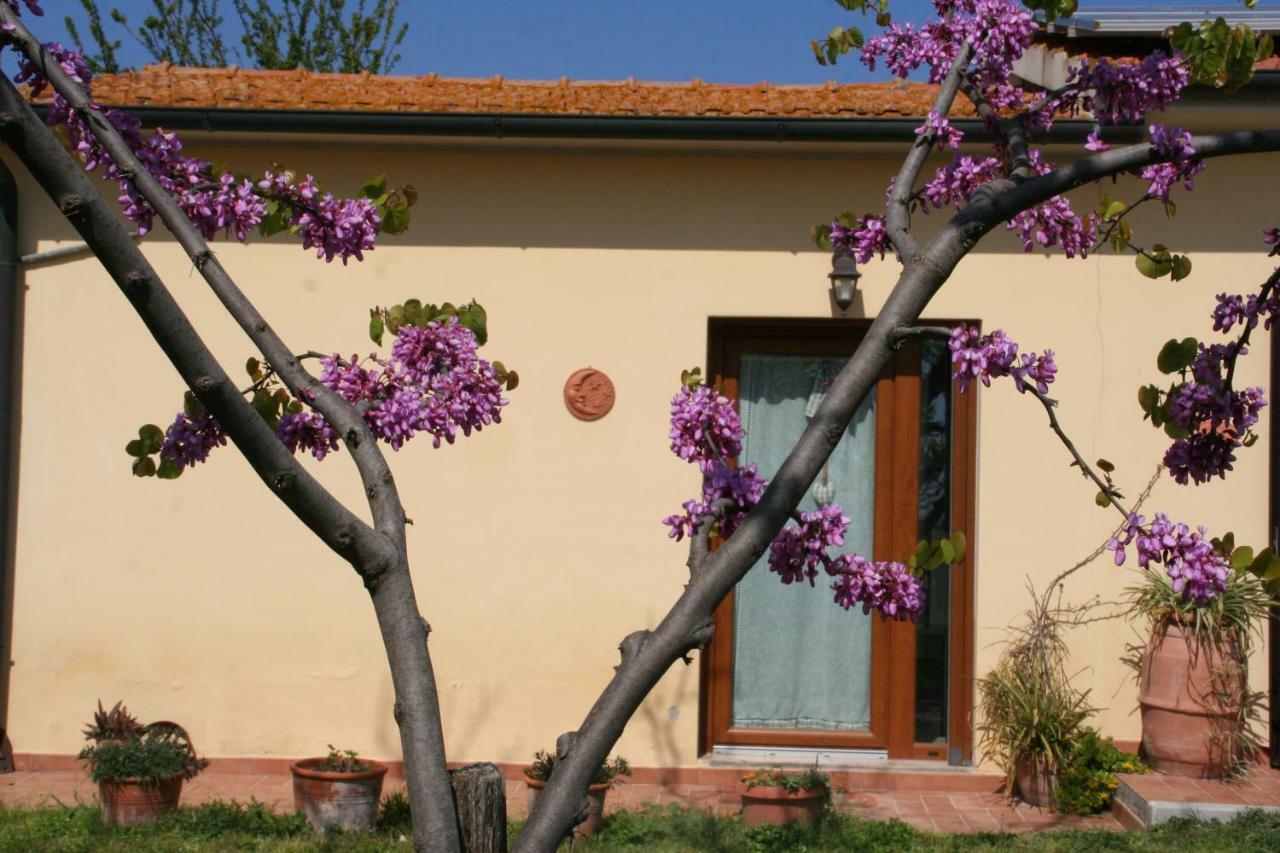 Agriturismo Diciocco เวนตูรีนา แตร์เม ภายนอก รูปภาพ