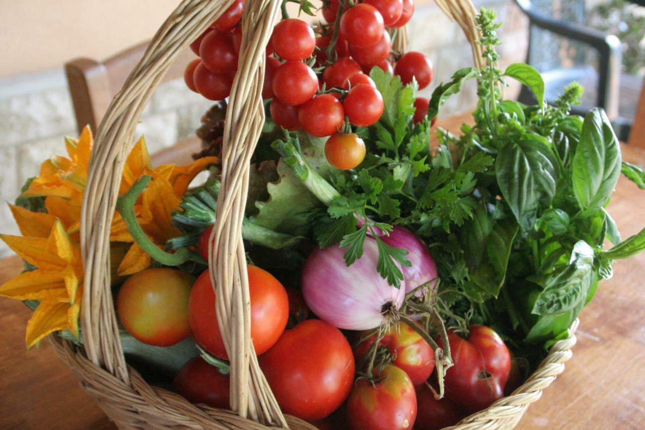 Agriturismo Diciocco เวนตูรีนา แตร์เม ภายนอก รูปภาพ